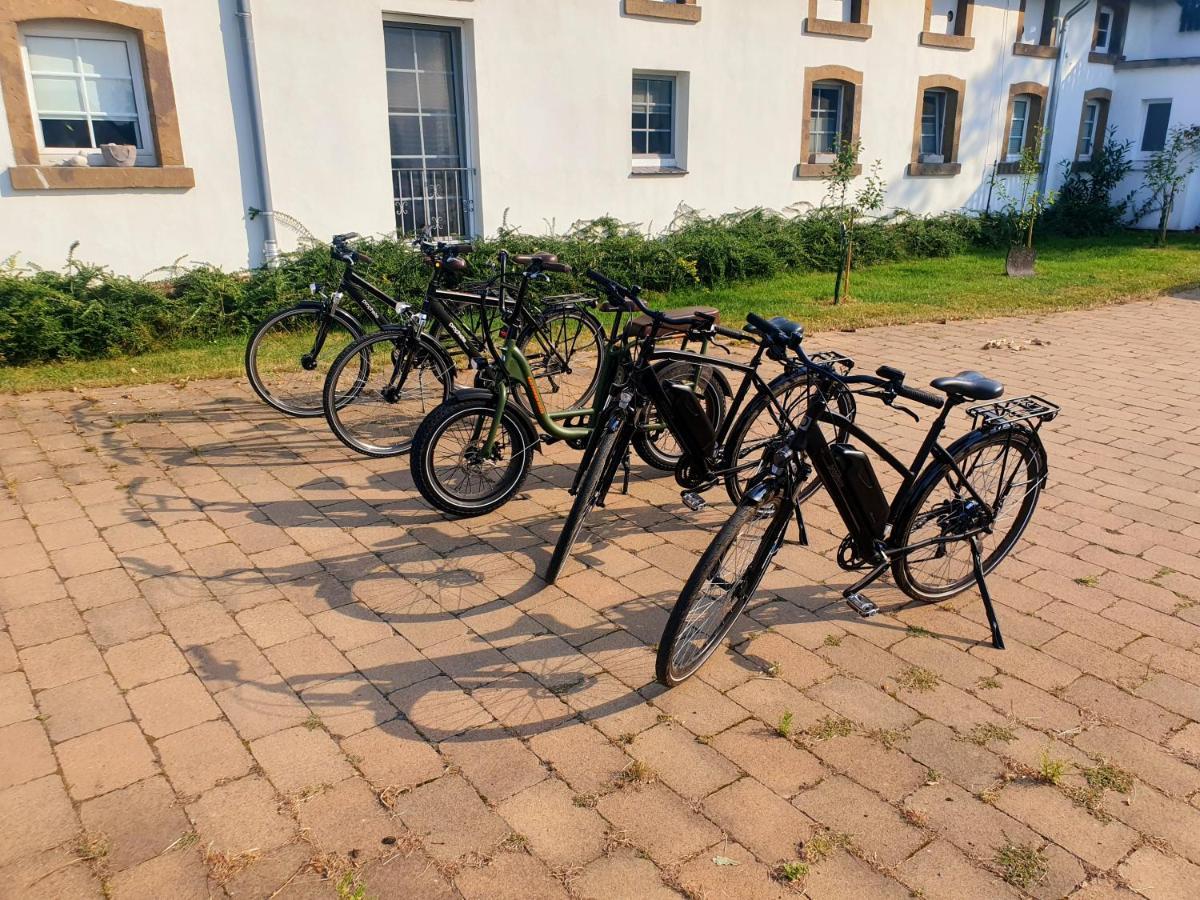 Grosse Bauernhaus Ferienwohnungen Bis 100Qm Mit E-Bike-Verleih Бад-Ротенфельде Экстерьер фото